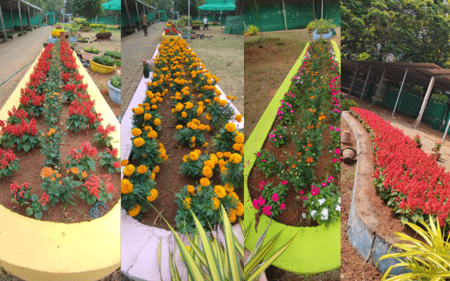 Mangaluru: Flower show to be held at Kadri Park from May 26