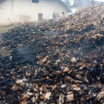 Alur: Miscreants set fire to a heap of jowar, lose lakhs of rupees