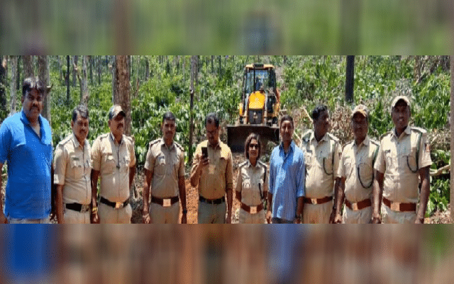 40 acres of encroached coffee plantation removed
