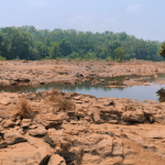 Payaswini stops flow, after seven years, drought casts shadow again