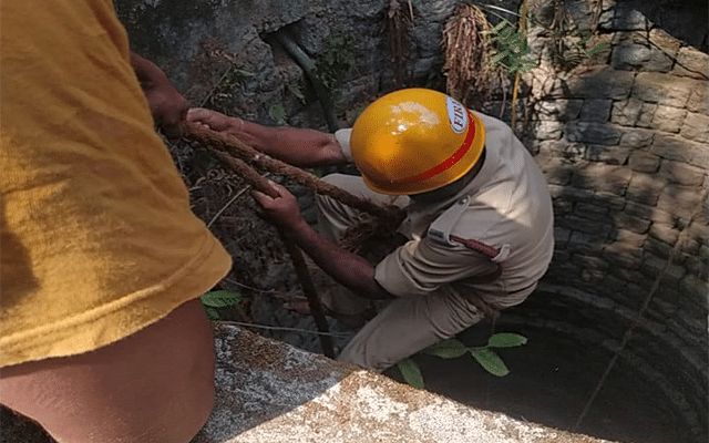 Karkala: Fire brigade rescues youth who fell into well to clean up