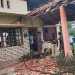Wild elephant attacks house, damages window, portico damaged