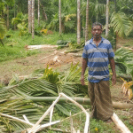 Belthangadi: Deforestation in Charmadi, Kadirudyavar