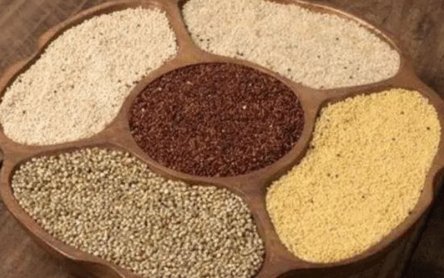 Two-day seed festival and food fair in Mysuru
