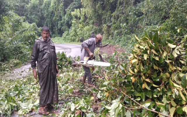 Wind, rain, tree fall in Belthangady, damage electricity poles