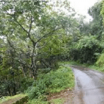 Below normal rainfall in Chikkamagaluru district