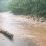Heavy rains lash Karnataka-Tamil Nadu border