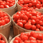 Tomato-laden truck from Kolar to Rajasthan goes missing