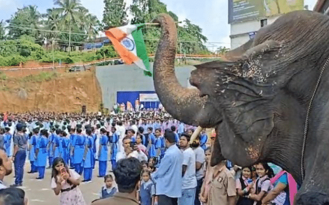 The elephant from Kateel constituency salutes the flag