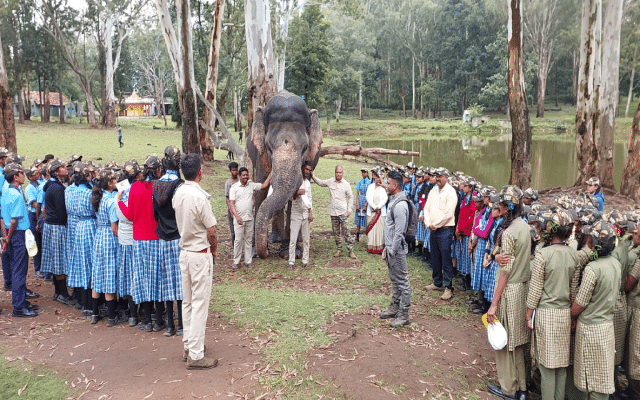 Children celebrate World Elephant Day at K.Gudi