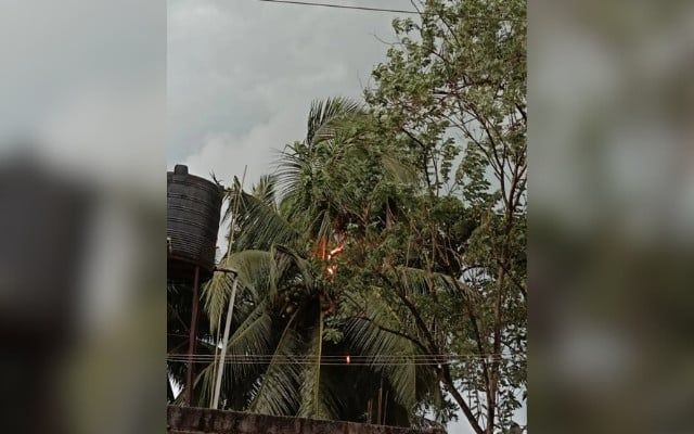 Lightning hits coconut tree in Budoli, family escapes unhurt