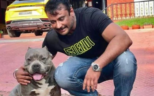 Actor Darshan's house dog bite: Complaint filed against Darshan
