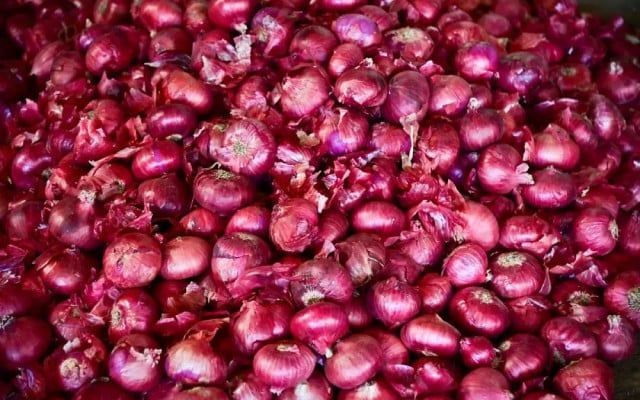 Onion prices likely to double, prices likely to com
